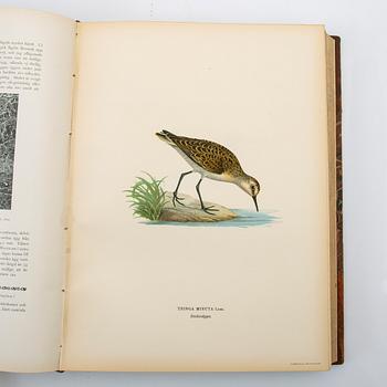 The Wright Brothers, book work, 3 volumes, "Swedish Birds", A. Börtzells tryckeri AB, Ivar Baarsen, Stockholm, 1924-1929.