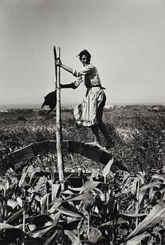 314. Edouard Boubat, "Portugal", 1957.