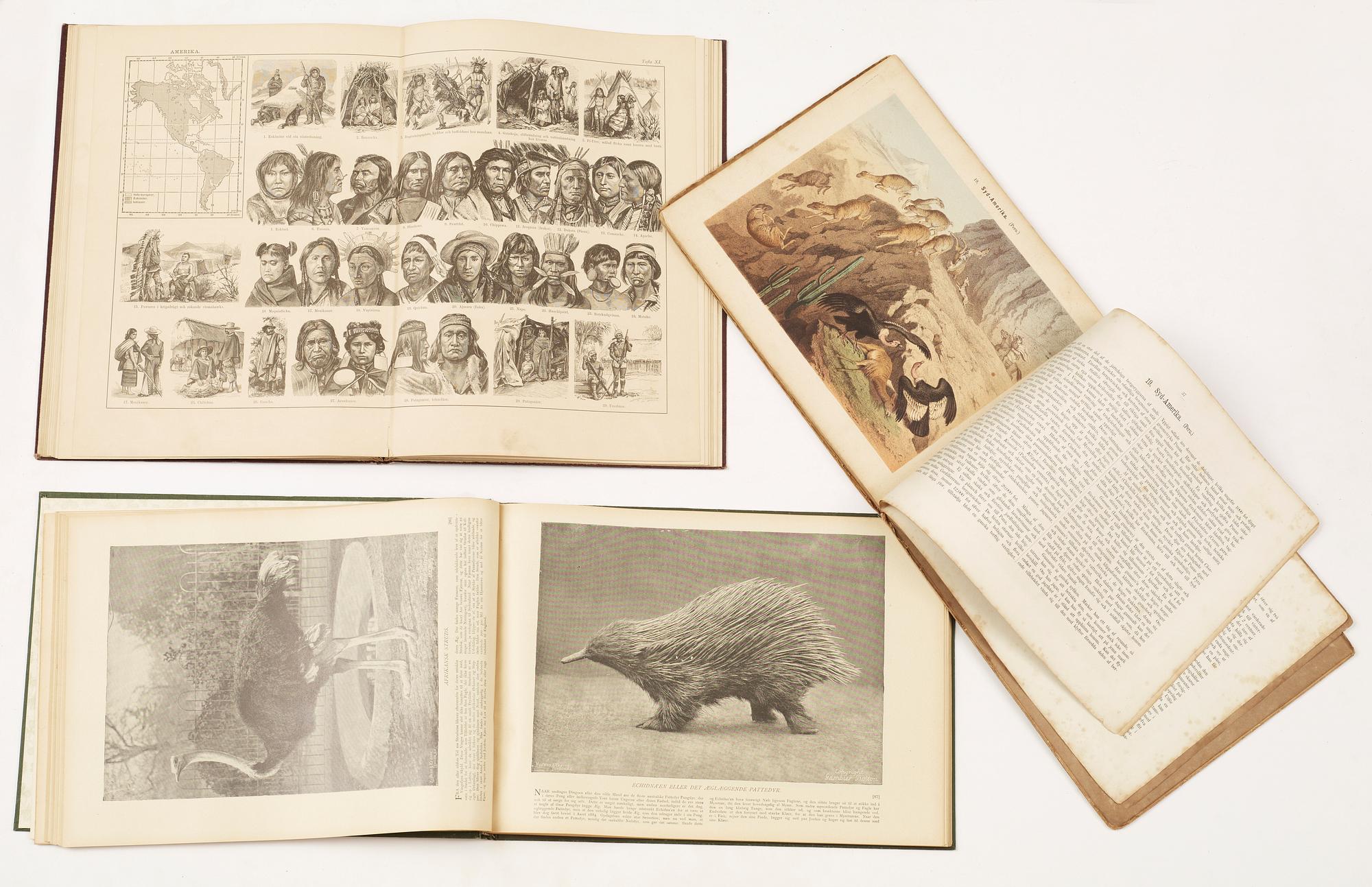 BOKPARTI OM NATURVETENSKAP, 18 vol, bla "Anteckningar angående Jagt och Djurfångst i Swerige" av JL von Greiff, Stockholm 1828.
