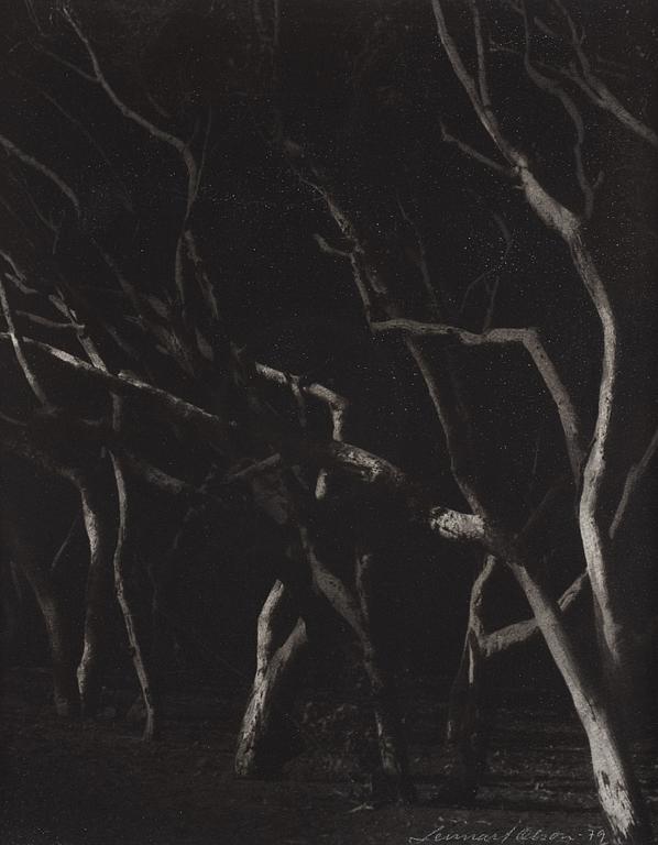 Lennart Olson, "Agadir II", 1979.