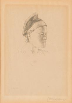 Louis Sparre, aihe Karjalasta.