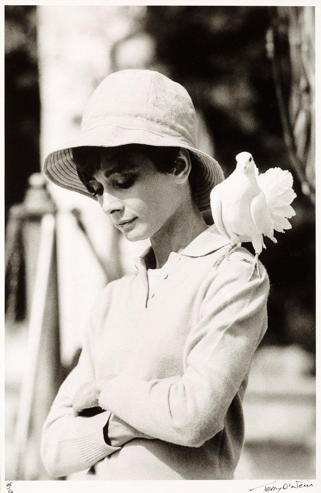 Terry O'Neill, "Audrey Hepburn with dove, St Tropez, 1967".