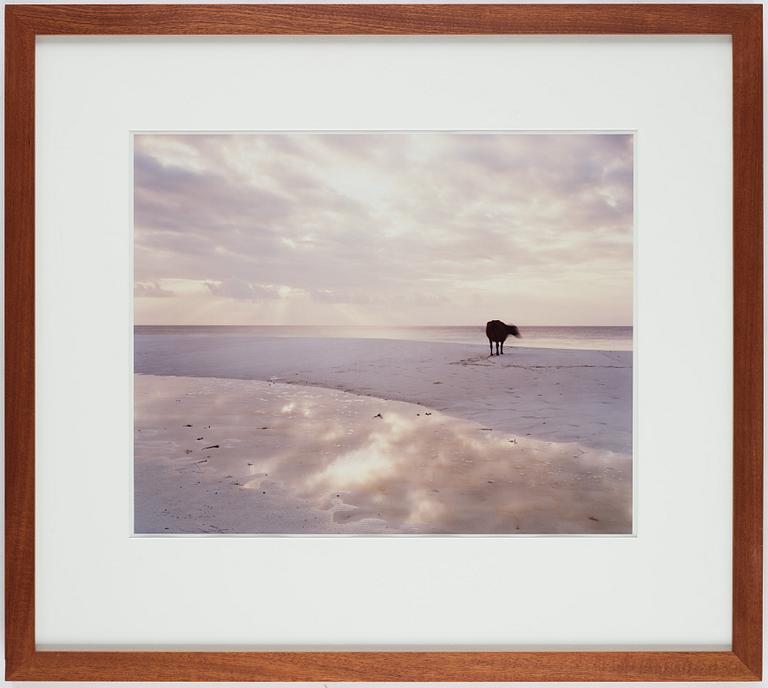 Anders Krisár, photograph signed and numbered 09/24 on verso.