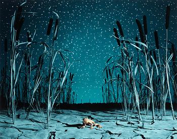 269. Helena Blomqvist, "The Last Night of the Last Golden Frog" 2008.