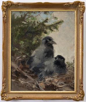 Mosse Stoopendaal, Crows.
