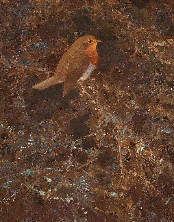 Robin.