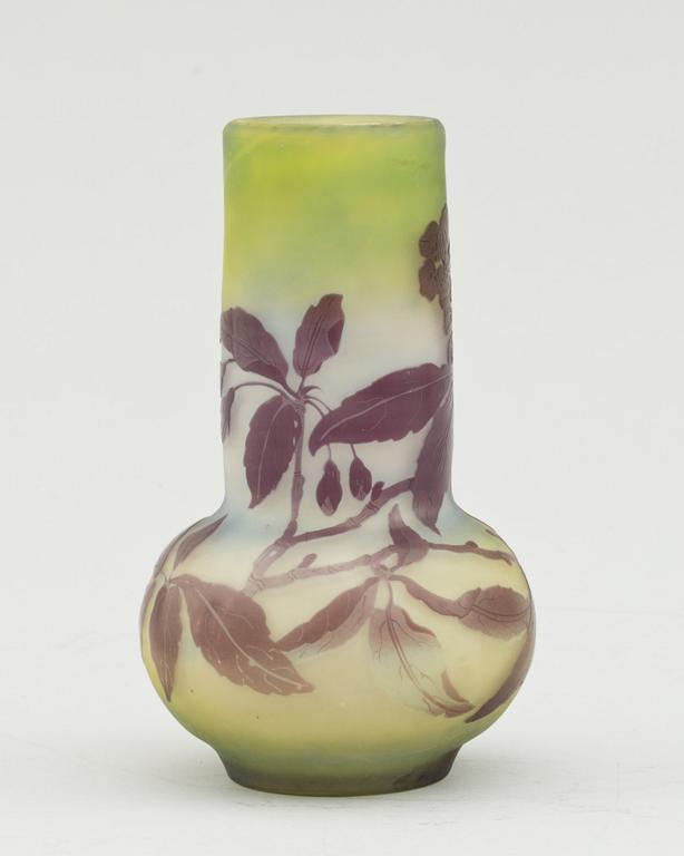 VAS, glas, Émilie Gallé, Frankrike, Jugend 1900-talets början.
