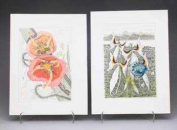 KARL AXEL PEHRSON, mapp med 10 färglitografier, "Vyer från Nirak", sign o numr 37/285. 1973.