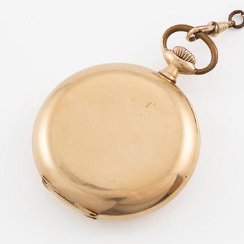 Omega, fickur, 51 mm.