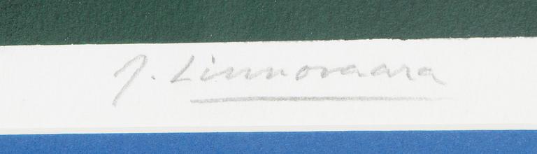 Juhani Linnovaara, "Nattkarneval".