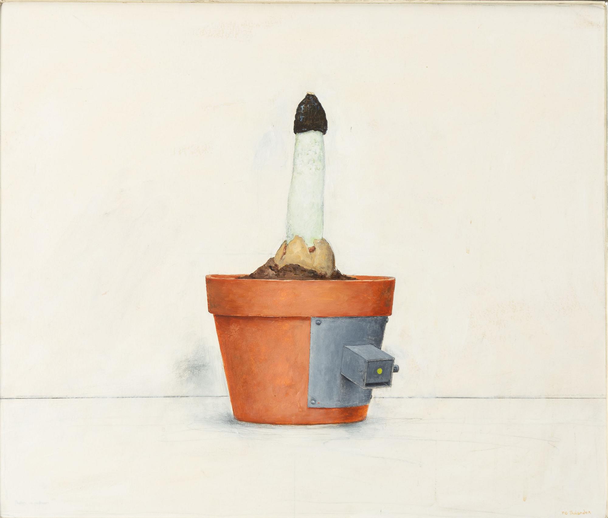 PG Thelander, "Phallus Impudicus".