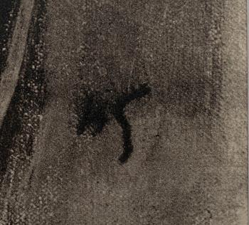 HELENE SCHJERFBECK, heliogravyyreja, 4 kpl.