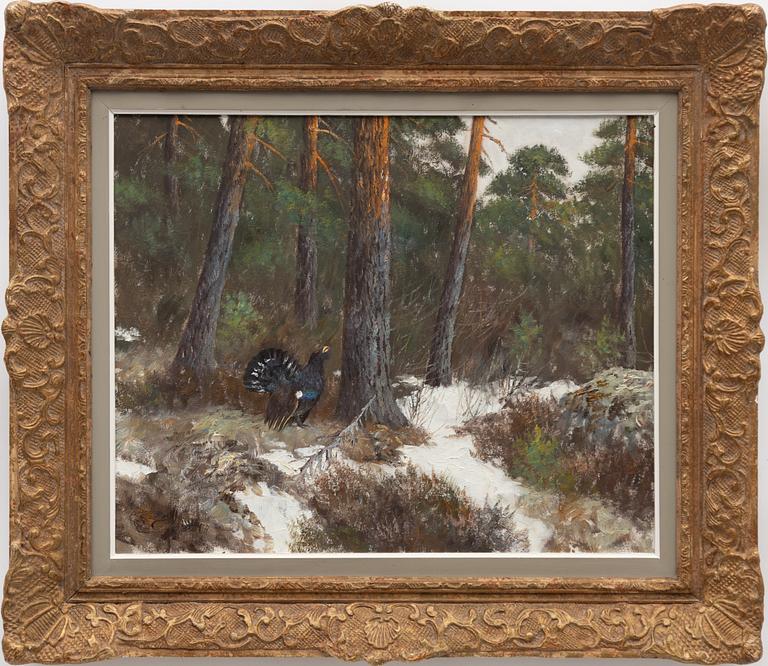 Johannes Ravn, Orrspel.