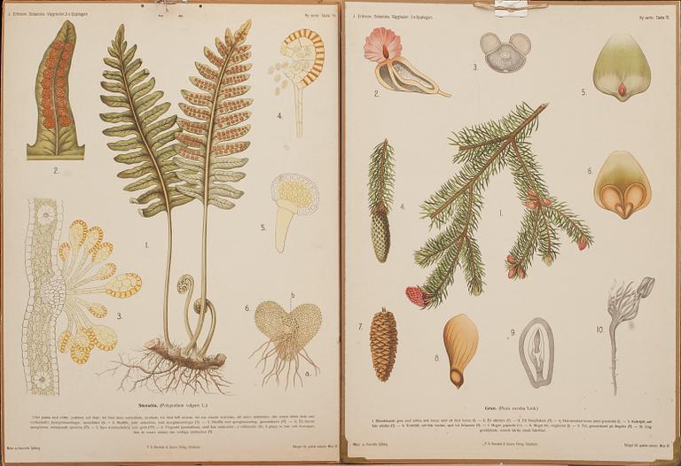 SKOLPLANSCHER, 3 st, 1900-talets andra hälft.