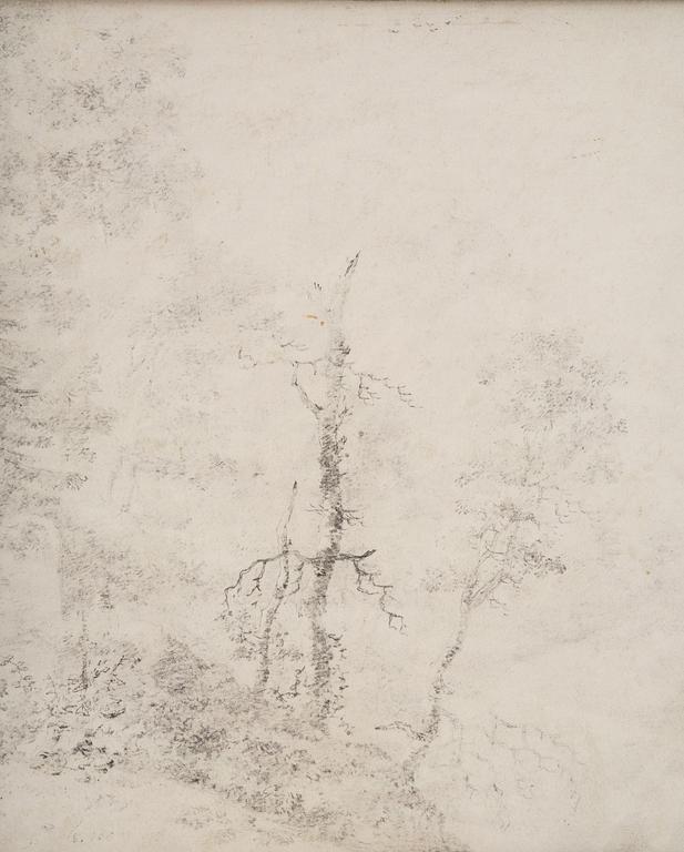 Jan Wils, Landscape with forest.