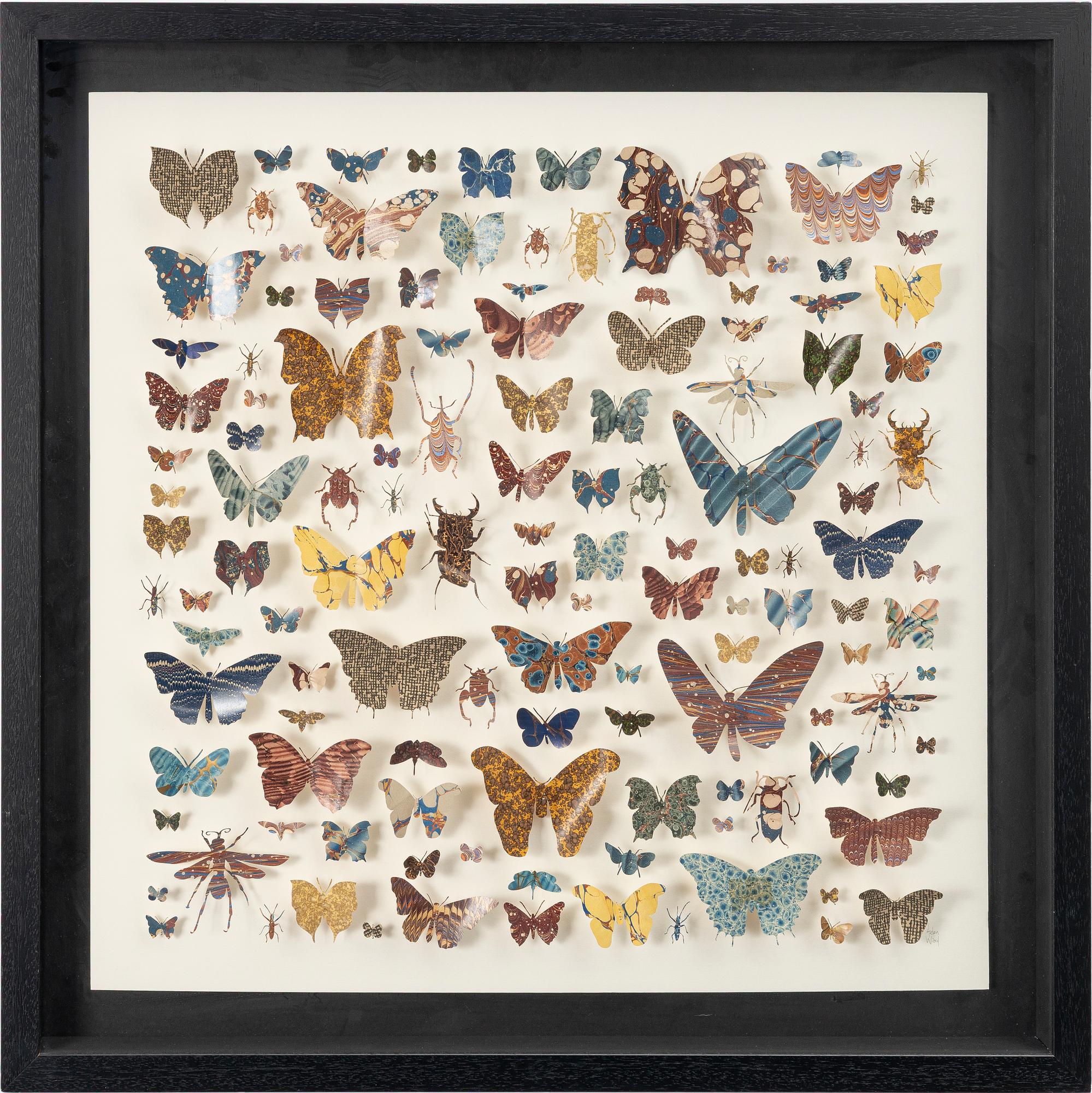 Helen Ward, "Paper Entomology".