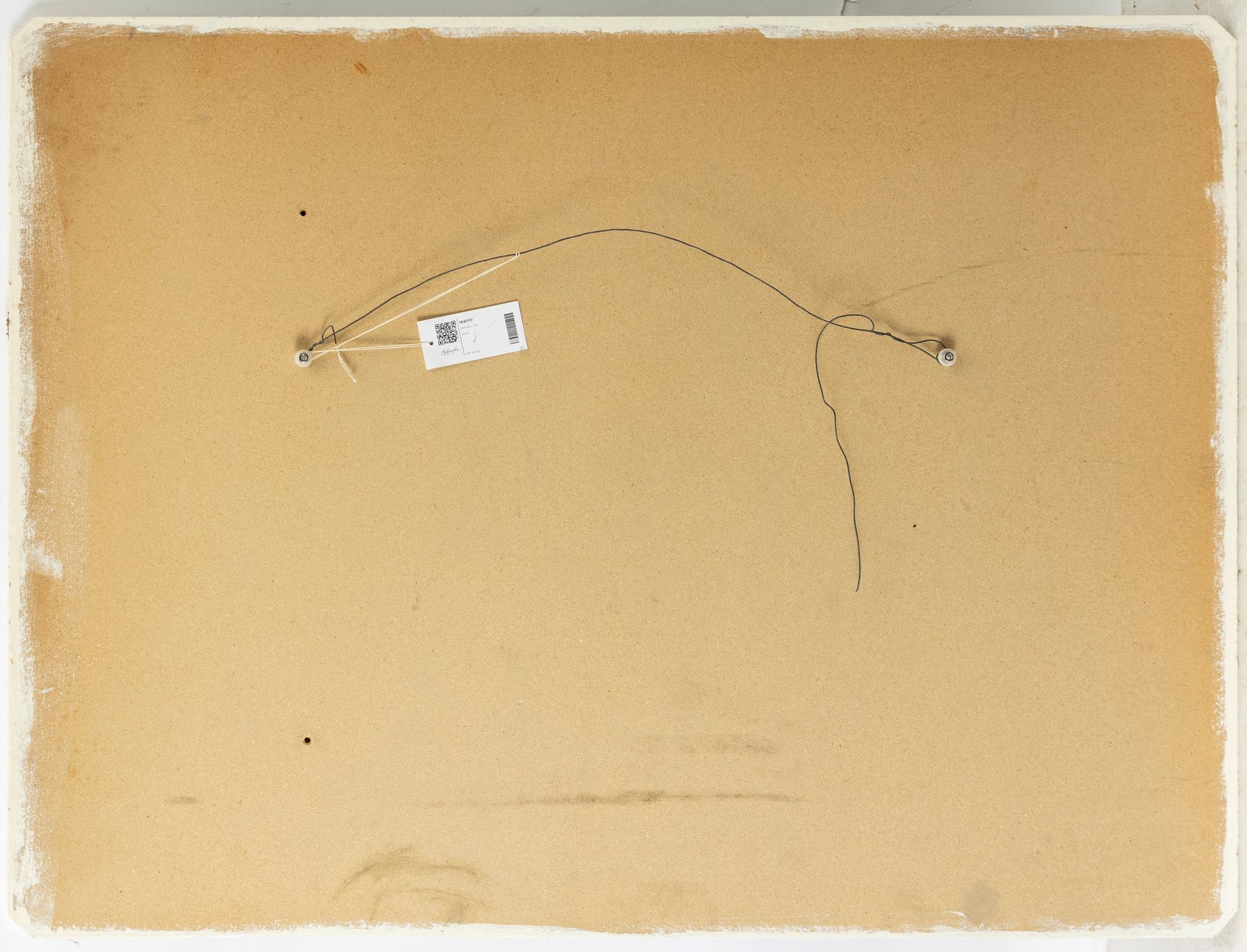 Jan Naliwajko, Composition.