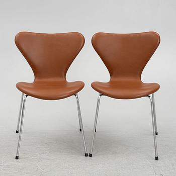 Arne Jacobsen, six "Series 7" chairs for Fritz Hansen, Denmark.