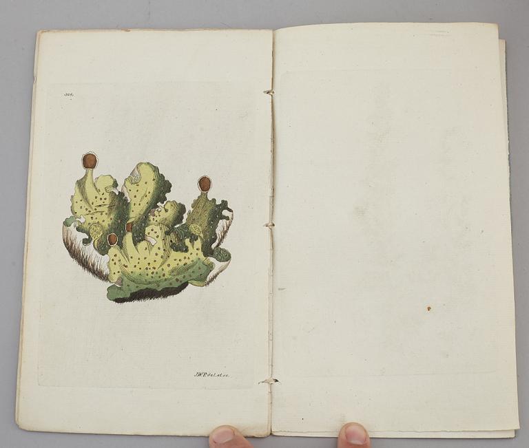 JOHAN WILHELM PALMSTRUCH, "Svensk Botanik, vol I-V. 1803-1805.