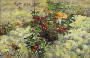 Thure Wallner, Lingon och Karljohanssvamp.