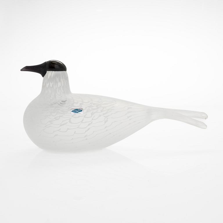 Oiva Toikka, A glass bird 'Species of tern', signed Oiva Toikka Nuutajärvi Notsjö 1474/3000.