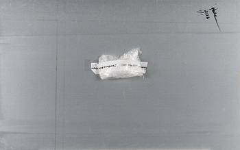 PAOLA SUHONEN, värivedos alumiinille, a tergo signeerattu ja päivätty 2016, numeroitu 1/1.