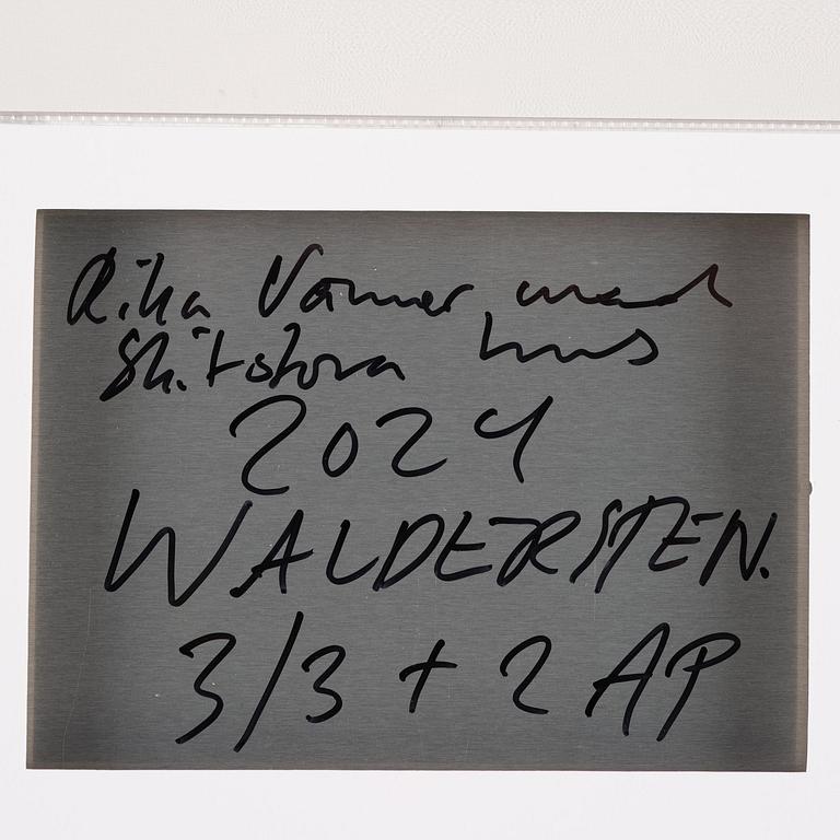 Jesper Waldersten, "Rika vänner med skitstora hus".