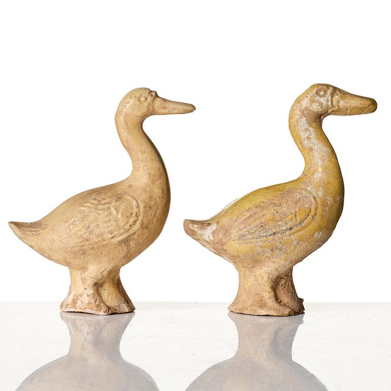 A pair of pottery figures of ducks, Tang dynasty (618-907).