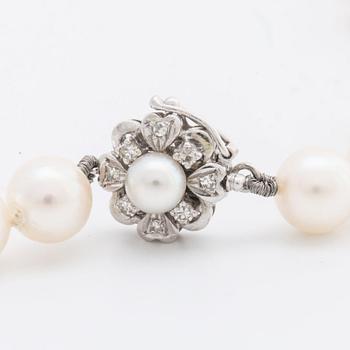PÄRLCOLLIER odlade pärlor ca 7 mm lås i 18K vitguld m diamanter 8/8 samt 1 mindre odlad pärla ca 5 mm.