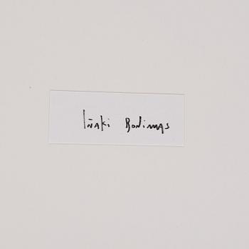 Iñaki Bonillas, "The Rain Came Last", 2013.