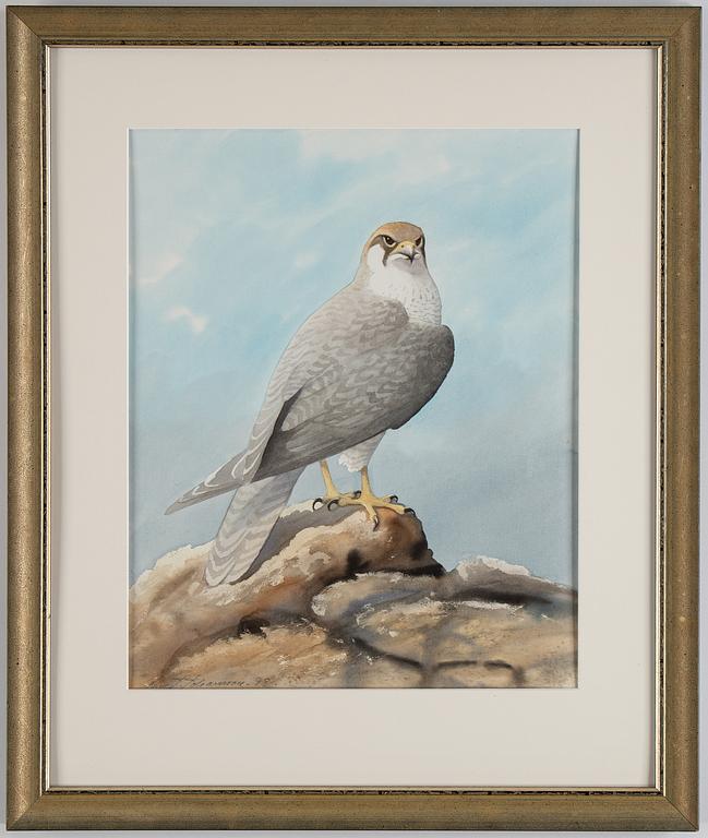 RUNE JOHANSSON, watercolour, signed and dated -98.
