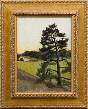 SIGRID SCHAUMAN, LANDSCAPE FROM ÅLAND ISLANDS (ÖNNINGEBY).