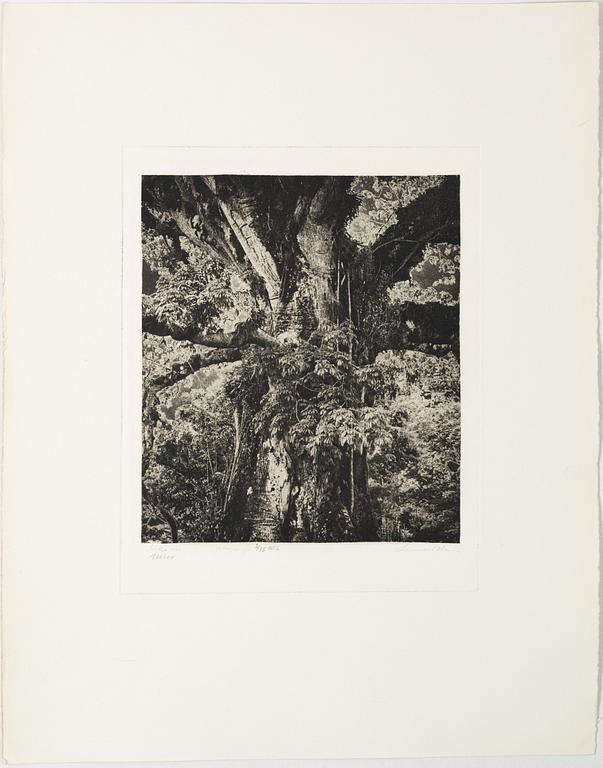 Lennart Olson, "Mitla, Mexico", 1966.
