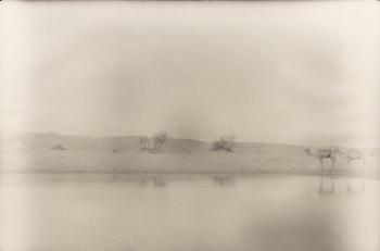 Denise Grünstein, "Blyertskameler", 1999.