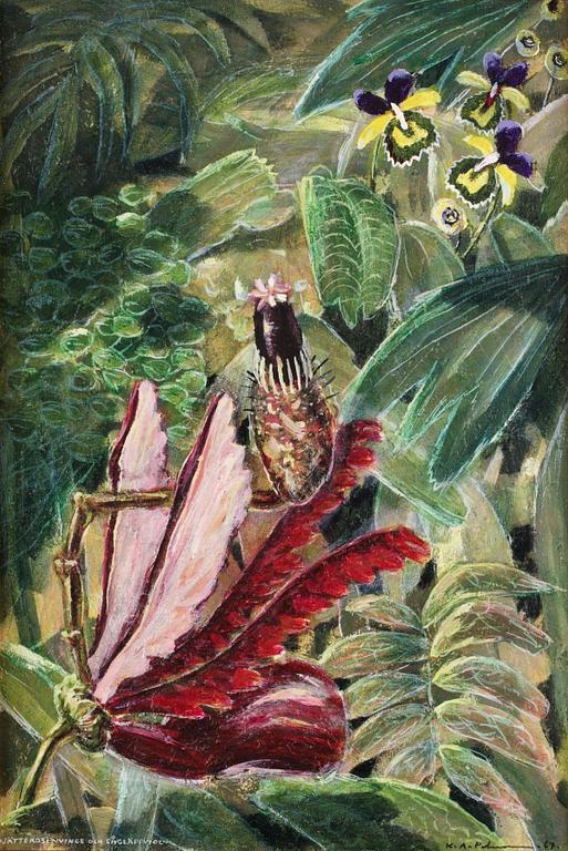 Karl Axel Pehrson, "Jätterosenvinge och sågläppviol".