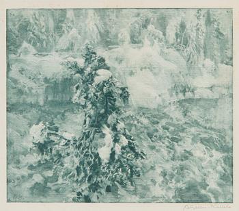 Akseli Gallen-Kallela, Aihe Imatralta.