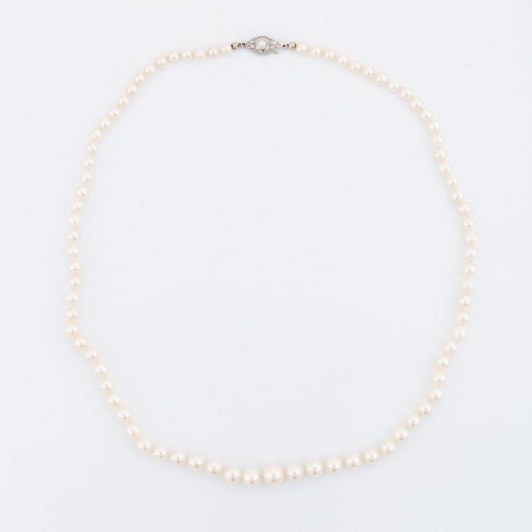 Cultured pearl necklace, clasp 18K white gold.