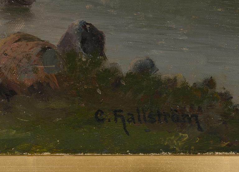 Carl Hallström, VIEW FROM THE ARCHIPELAGO.