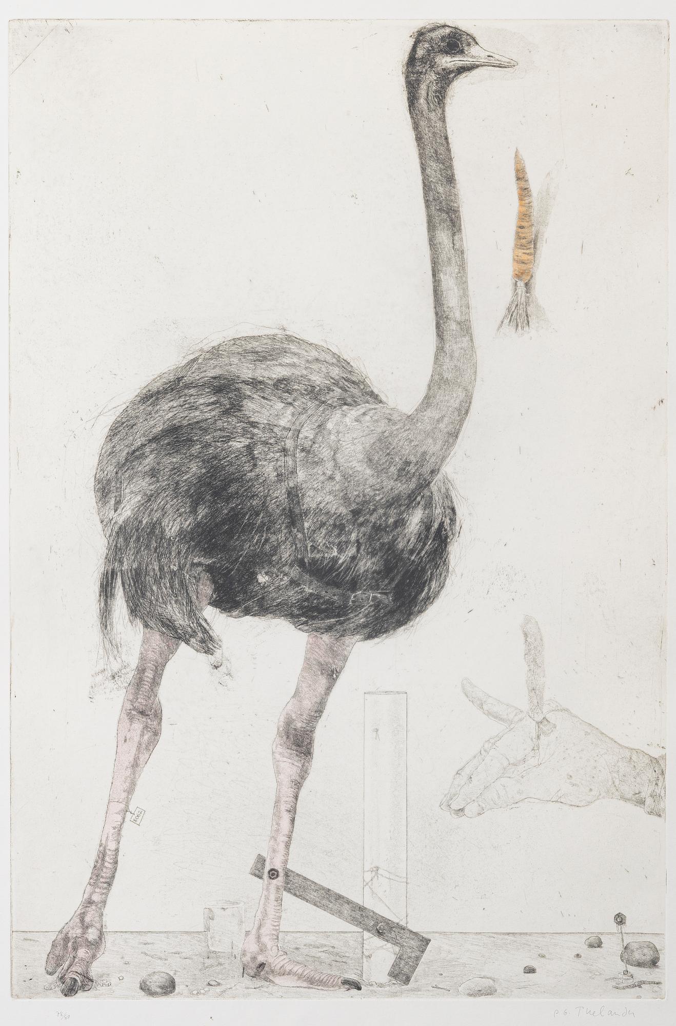 PG Thelander, "Europeiska strutsar VI".