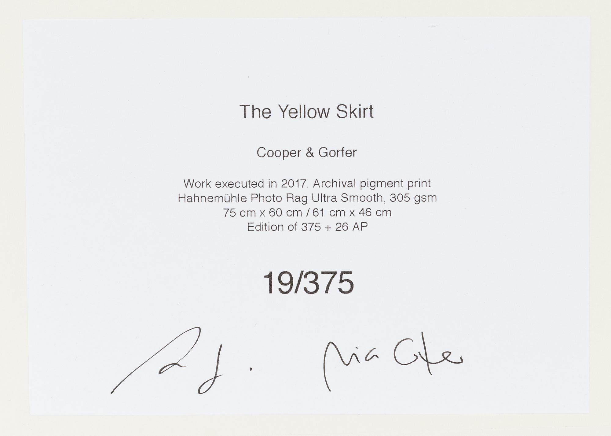 Cooper & Gorfer, "The Yellow Skirt" 2017.