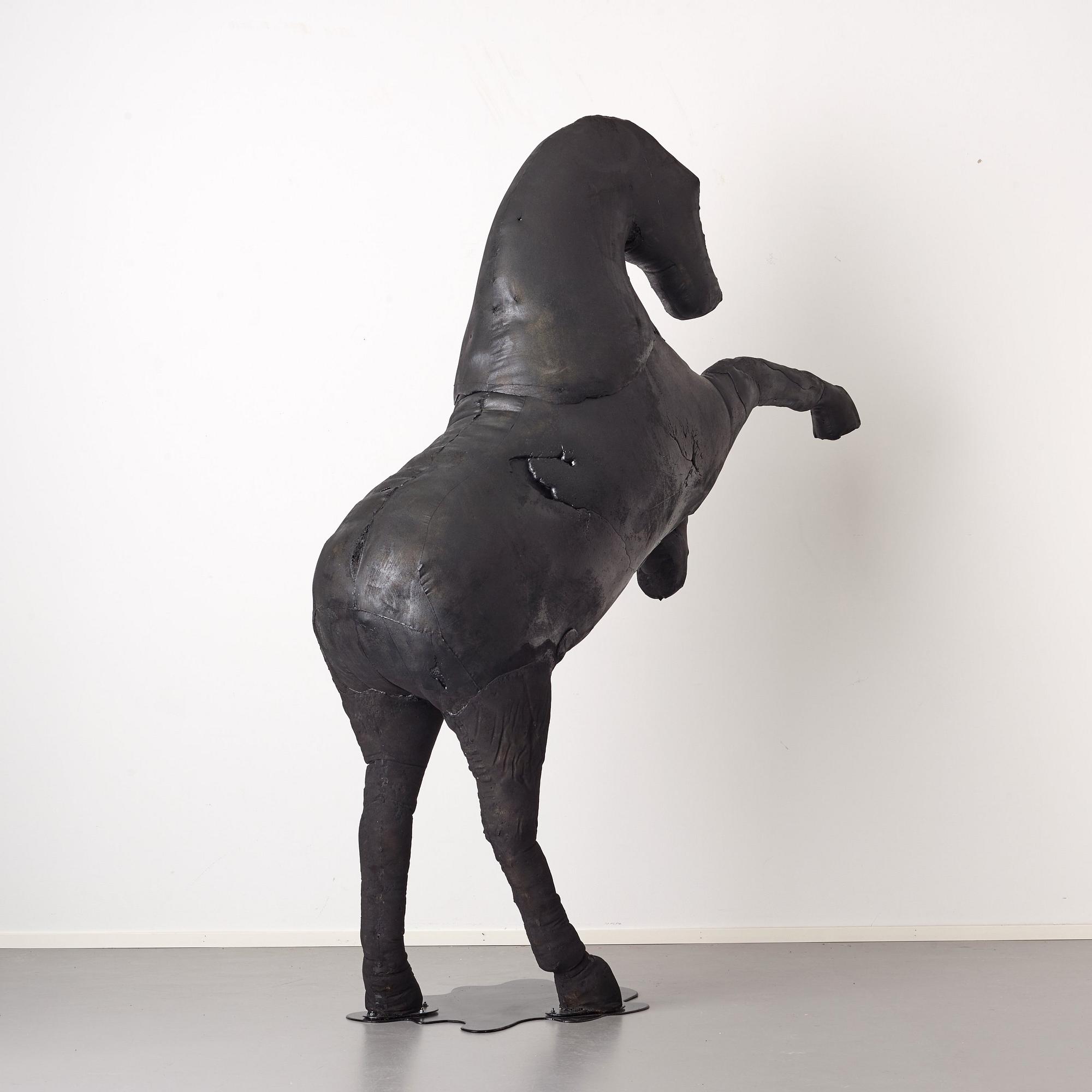 Linda Bäckström, "Black Beauty".