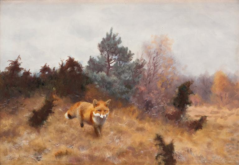 Bruno Liljefors, Fox in a fall landscape.