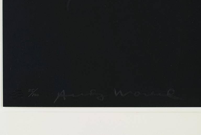 Andy Warhol, "Frölunda Hockey Player".