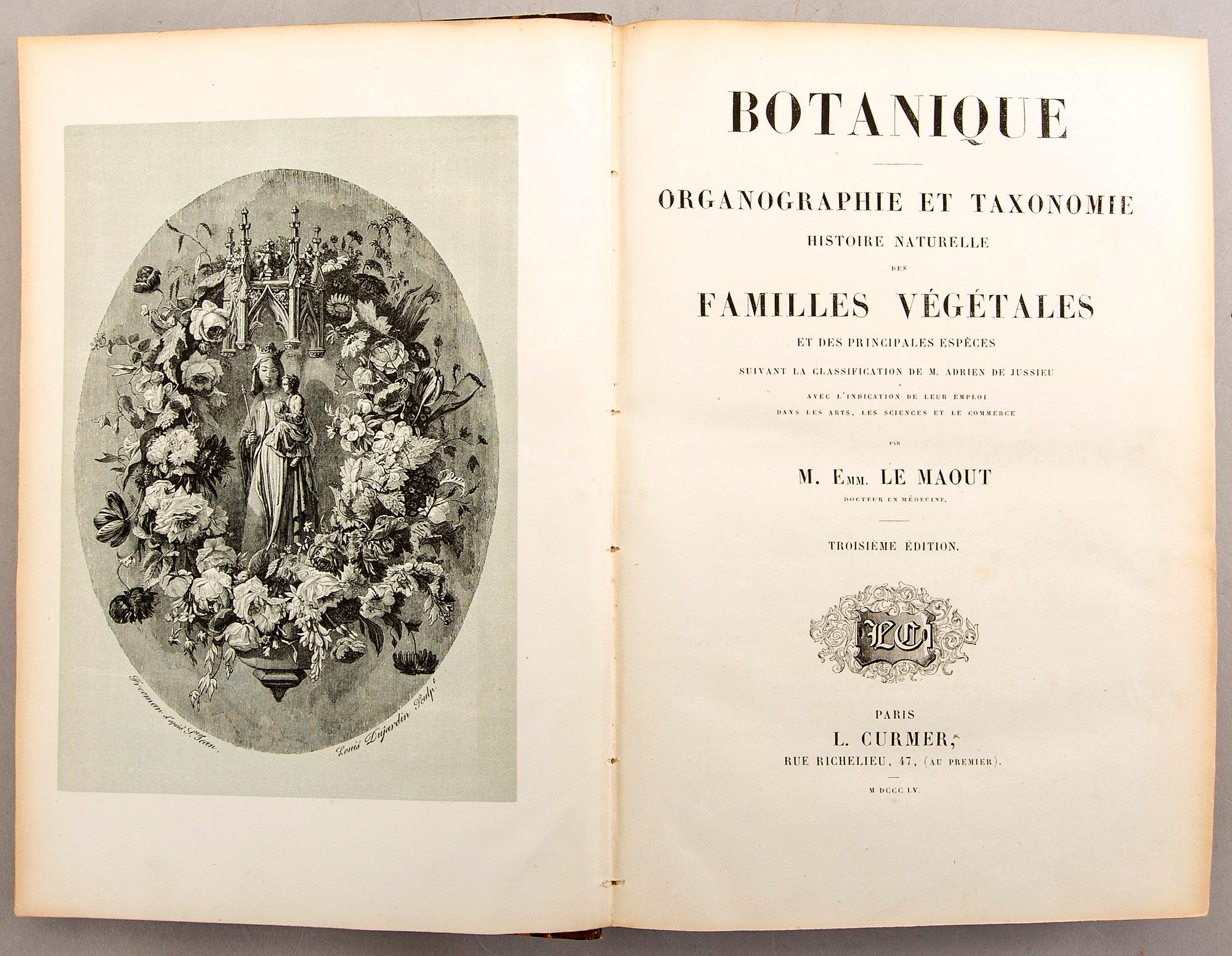 Emmanuel Le Maout, book 'Botanique. Organographie... Histoire naturalle', Paris 1855.
