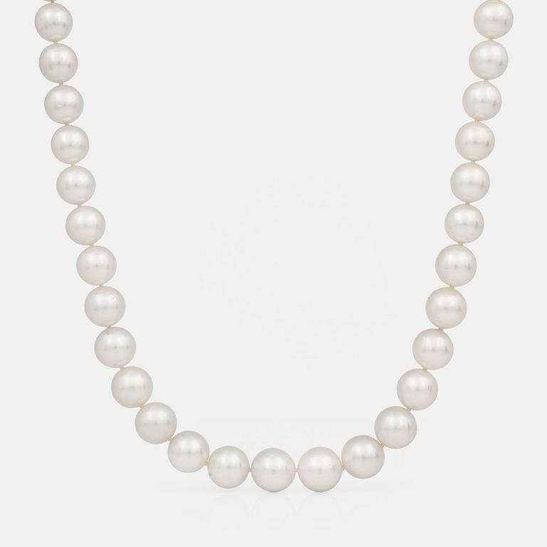 A cultured South Sea pearl collier.