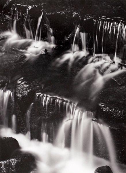 Ansel Adams, "Fern Spring, Dusk, Yosemite Valley, California", ca 1961.