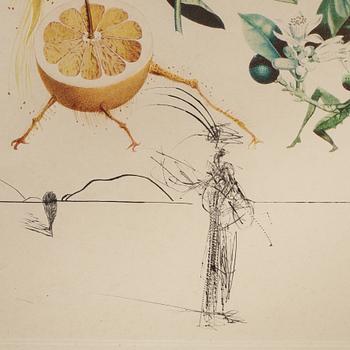 Salvador Dalí, lithographs in colour and drypoint. Signed and numbered CXXXIX/CL.