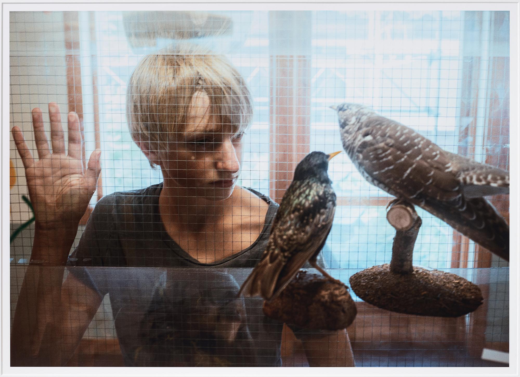 Andreas Dahl, "Tre fåglar", 2016.