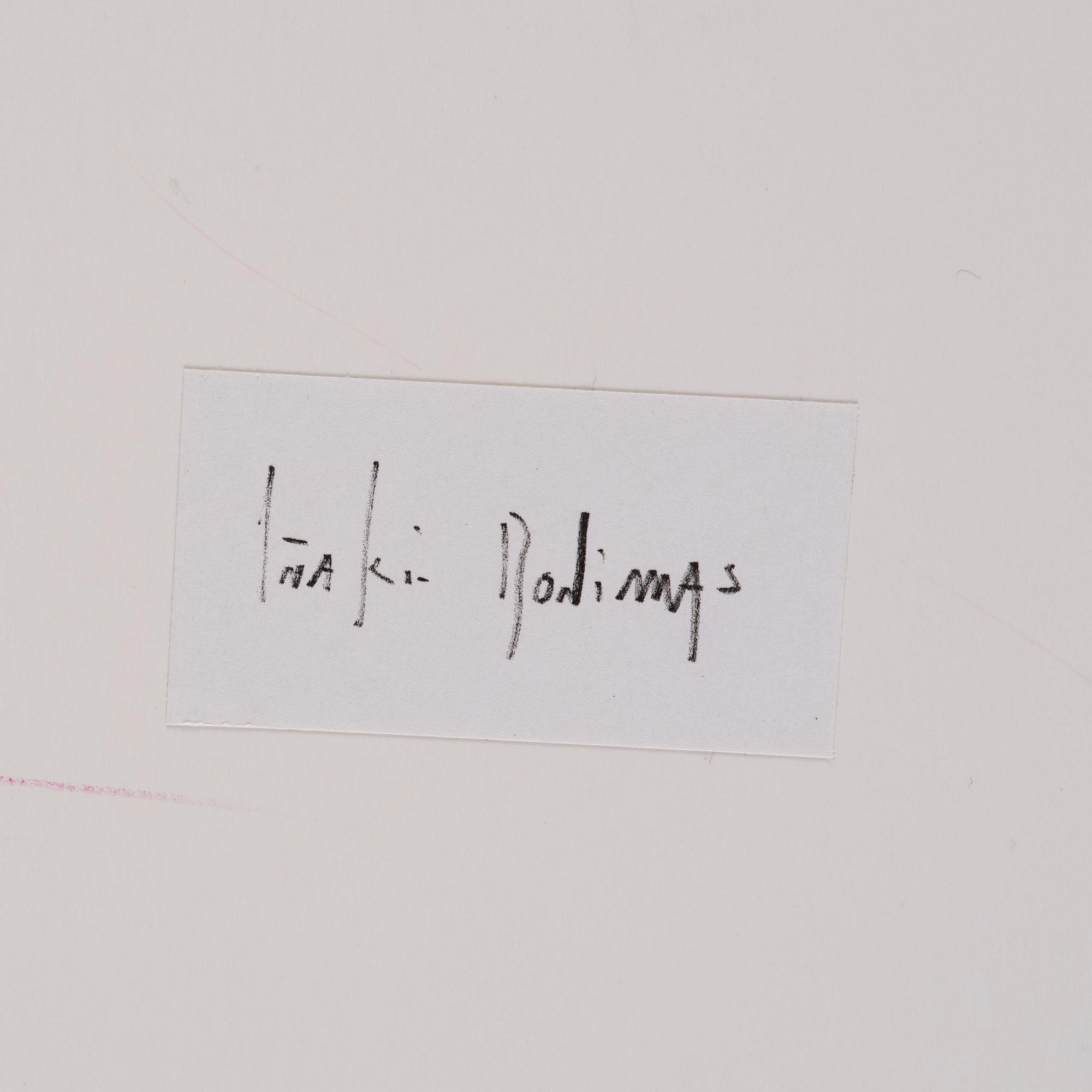 Iñaki Bonillas, "The Rain Came Last", 2013.