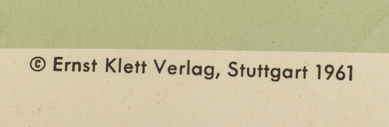 SKOLPLANSCH, "Muscles" Ernst Klett Verlag Stuttgart 1961.
